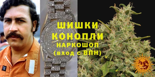 бошки Заводоуковск