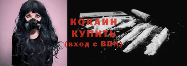 бошки Заводоуковск