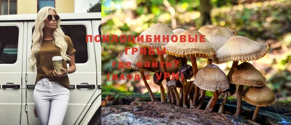 бошки Заводоуковск