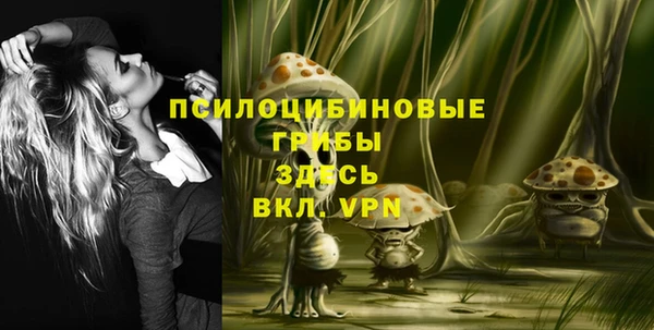 бошки Заводоуковск
