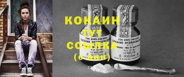 бошки Заводоуковск