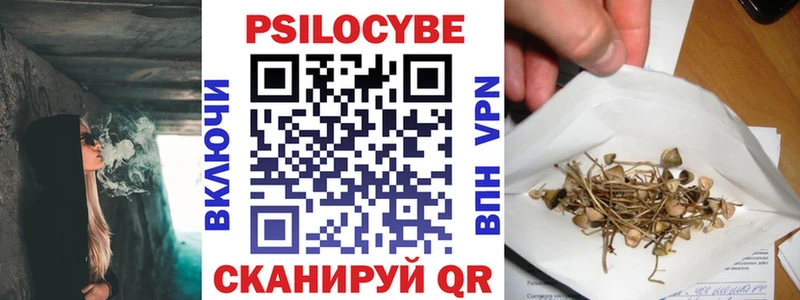Купить  Гагарин  Галлюциногенные грибы Cubensis 